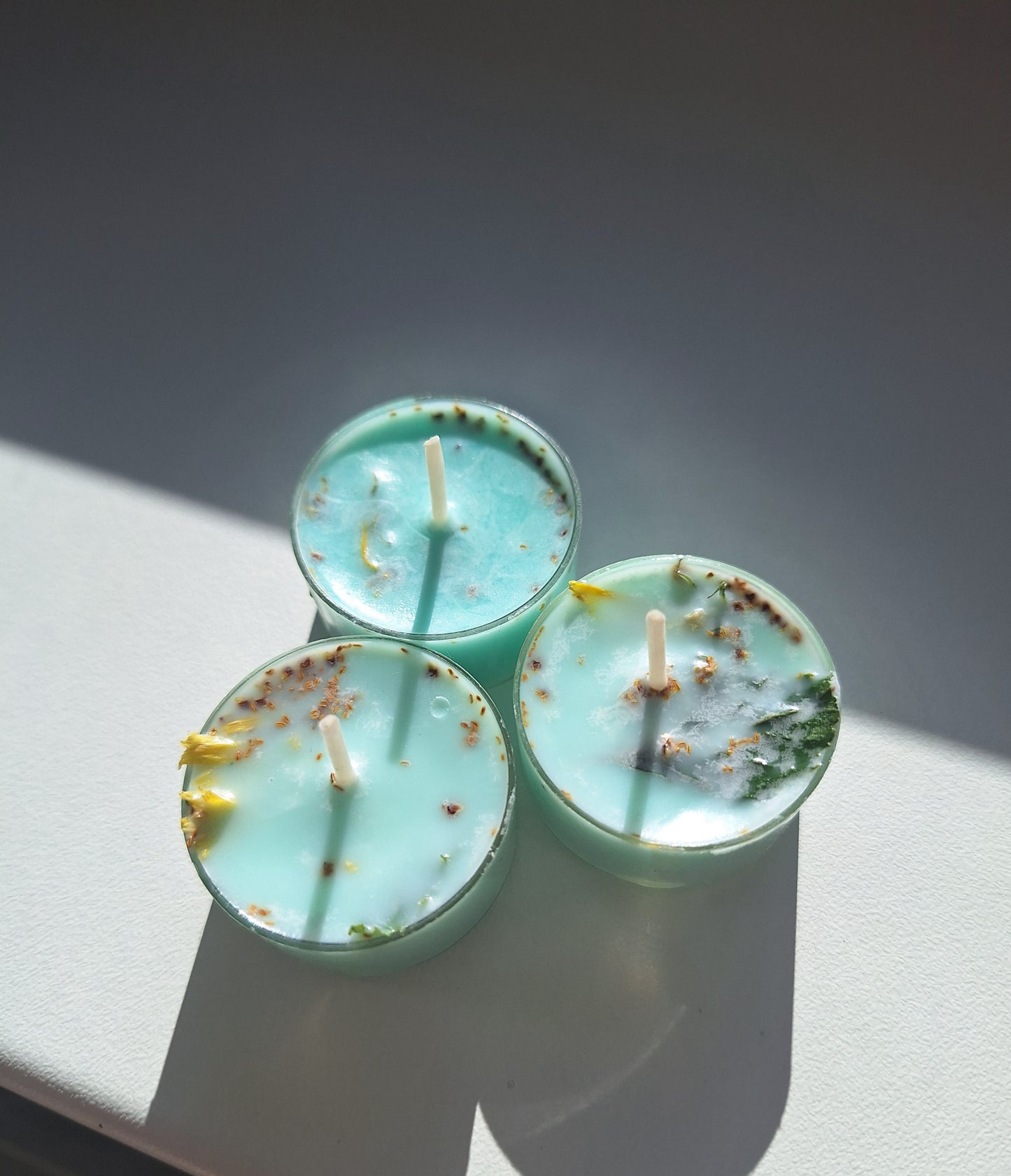 Žvakučių rinkinys PAŽEIDŽIAMUMAS